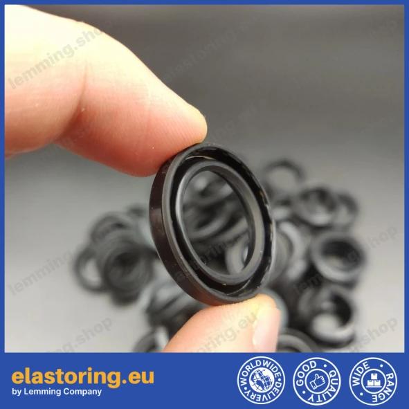 Oil seal 6x10x2 VC FPM Oil seal 6x10x2 VC FPM
